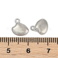 304 Stainless Steel Charms&nbsp;STAS-E500-10P