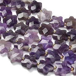 Natural Amethyst Beads Strands&nbsp;G-L657-A08-01