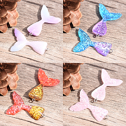 Resin Pendants&nbsp;CRES-SC0001-04