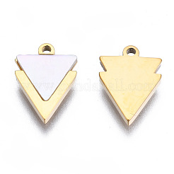 316 Surgical Stainless Steel Charms&nbsp;STAS-N097-043