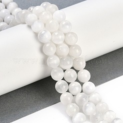 Natural Selenite Beads Strands&nbsp;X-G-G167-A02-01