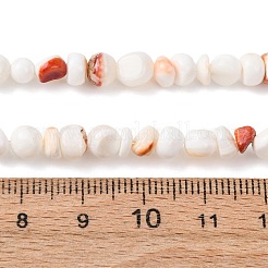 Natural Sea Shell Beads Strands&nbsp;SHEL-K006-77