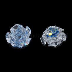 Transparent Resin Cabochons&nbsp;CRES-N030-014