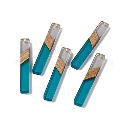 Transparent Resin & Walnut Wood Big Pendants&nbsp;RESI-M027-11C