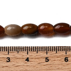 Natural Petrified Wood Beads Strands&nbsp;G-K362-I12-02