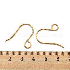 316 Stainless Steel French Earring Hooks&nbsp;JX138G-01