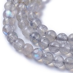 天然石ラブラドライトビーズ連売り  ラウンド  4mm  穴：1mm  約100~101個/連  14.9~15.3インチ（38~39cm）&nbsp;G-F627-10-A