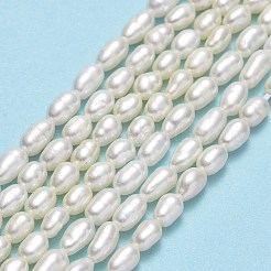 Natural Cultured Freshwater Pearl Beads Strands&nbsp;PEAR-J006-03E