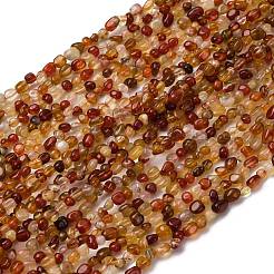 Natural Red Agate Beads Strands&nbsp;G-I389-A37-01B