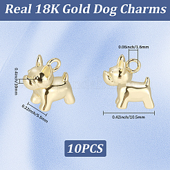10Pcs Brass Charms&nbsp;KK-BBC0024-48