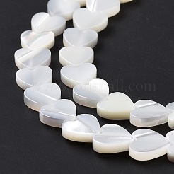 Natural Trochus Shell Beads Strands&nbsp;SSHEL-H070-06B