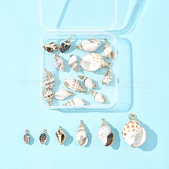 20 個 10 スタイル電気メッキ天然スパイラル シェル ペンダント  鉄製の金具が付いた貝殻の形をしたチャーム  ゴールドカラー  ミックスカラー  13~40x8~20x7~18mm  穴：1.2~2mm  2個/スタイル&nbsp;SSHEL-FS0001-11