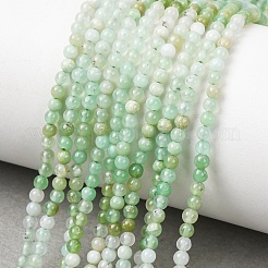 Natural Chrysoprase Beads Strands&nbsp;G-H358-A04-3mm-02