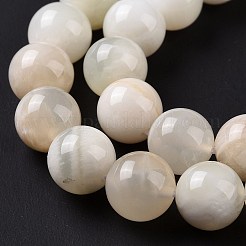 Natural White Moonstone Beads Strands&nbsp;G-F674-08-10mm-01