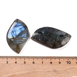 Natural Labradorite Cabochons&nbsp;G-B085-05
