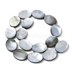 Natural Black Lip Shell Beads Strands&nbsp;BSHE-D300-02-18x25mm