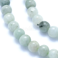 Natural Myanmar Jade/Burmese Jade Beads Strands&nbsp;G-I279-C02-4mm