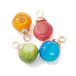 Dyed Natural Freshwater Shell Pendants&nbsp;PALLOY-JF05241