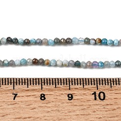 Natural Apatite Beads Strands&nbsp;G-K366-C05-2mm