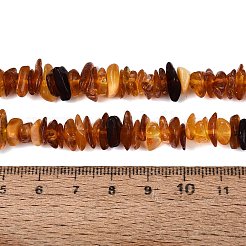 天然琥珀ビーズ連売り  チップ  5~15x5~15x1~5mm  穴：0.7~0.8mm  約147~158個/連  15.35インチ（39cm）&nbsp;G-N371-22A-01