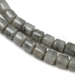 Natural Labradorite Beads Strands&nbsp;G-G275-D10-10x10mm