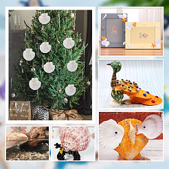 Natural Shell Display Decorations&nbsp;SSHEL-WH0001-39D