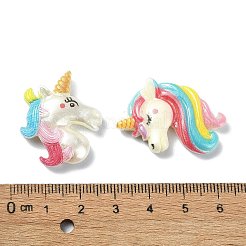 Opaque Resin Decoden Cabochons&nbsp;RESI-G088-01