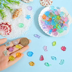 150gの混合形状透明プラスチックビーズ  ミックスカラー  11x10x5mm&nbsp;FIND-SC0011-72