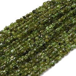 天然石ペリドットビーズ連売り  ナゲット  5~9x4~6x3~4.5mm  穴：0.7mm  約75~89個/連  15.35''（39cm）〜15.94''（40.5cm）&nbsp;G-I389-A27
