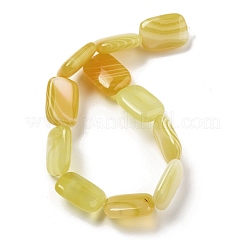 Natural Yellow Agate Beads Strands&nbsp;G-K392-B01-13x18mm