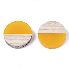 Resin & Wood Cabochons&nbsp;RESI-R425-05K