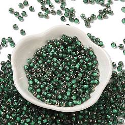 Transparent Inside Colours Glass Seed Beads&nbsp;SEED-H002-A-C221
