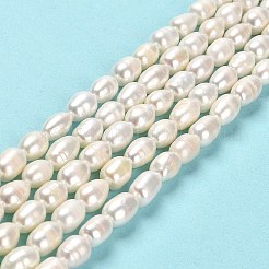 天然養殖淡水パールビーズ連売り  ライス  グレードA +  リネン  8~10.5x6~7mm  穴：0.6mm  約37~38個/連  13.78インチ（35cm）&nbsp;PEAR-E016-195