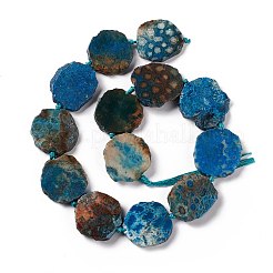 天然化石サンゴのビーズ連売り  染め  ナゲット  26.5~38.5x23~28x5.5~6mm  穴：2.5mm  約13~14個/連  15.75~17.32インチ（40~44cm）&nbsp;G-F719-25