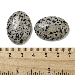 Natural Dalmatian Jasper Cabochons&nbsp;G-C115-01B-10