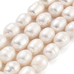 Natural Cultured Freshwater Pearl Beads Strands&nbsp;PEAR-P062-13C