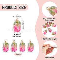 10Pcs Transparent Acrylic Pendants&nbsp;SACR-TA0001-66A