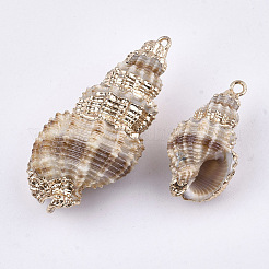 電気メッキ巻き貝ペンダント  鉄パーツ  ライトゴールド  アンティークホワイト  26~42x13~20x12~17mm  穴：2mm&nbsp;SSHEL-S262-24