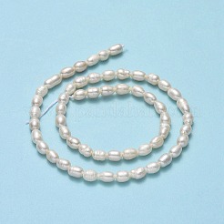 天然養殖淡水パールビーズ連売り  ライス  リネン  5.5~8.5x4~4.5mm  穴：0.6mm  約51~54個/連  13.78''（35センチメートル）&nbsp;PEAR-J006-16A-01