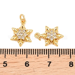 Brass Micro Pave Cubic Zirconia Charms&nbsp;KK-F927-09A-G