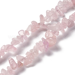 Natural Rose Quartz Beads Strands&nbsp;LS-G-O049-B-36
