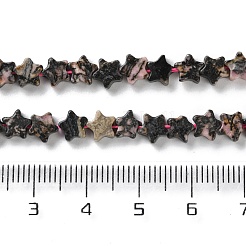Natural Rhodonite Beads Strands&nbsp;G-G085-B50-02