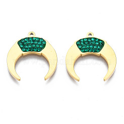 316 Surgical Stainless Steel Pendants&nbsp;STAS-S116-420B