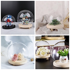 High Borosilicate Glass Cloche Globe Display Dome&nbsp;ODIS-F007-01A