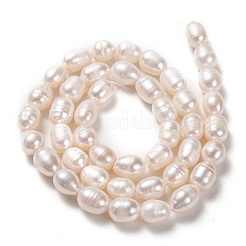 Natural Cultured Freshwater Pearl Beads Strands&nbsp;PEAR-L033-73-01