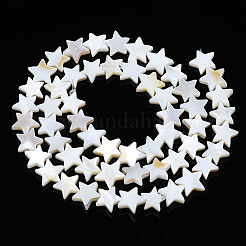 天然淡水シェルビーズ連売り  五芒  貝殻色  7.5~8.5x7.5~9x2mm  穴：0.6mm  約56個/連  15.12インチ（38.4cm）&nbsp;X-SHEL-S278-01B-01