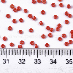 Baking Paint Glass Seed Beads&nbsp;X-SEED-S042-05A-05