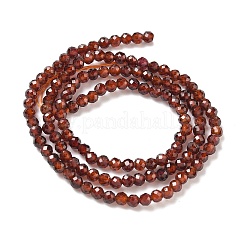 Natural Garnet Beads Strands&nbsp;G-H079-A01-03C-01