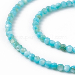 天然淡水シェルビーズ 125 個  染め  ラウンド  ディープスカイブルー  3mm  穴：0.5mm&nbsp;SHEL-B002-01E