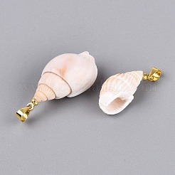真鍮と天然の螺旋状の貝殻のペンダント  巻貝チャーム  ライトゴールド  貝殻色  16~34x8~19x8~17mm  穴：4~5x3.5mm&nbsp;SHEL-Q029-18KCG